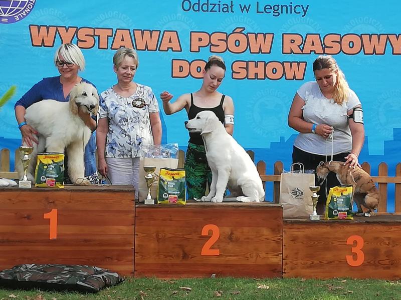 F262c840 De78 434b Ac8b 357473b05751